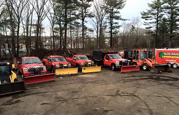 All Seasons Lawn Care